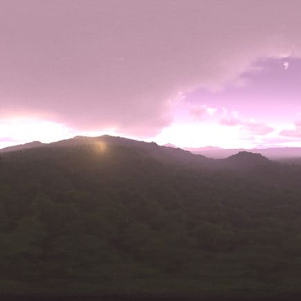 Early Morning Forest HDRI Sky