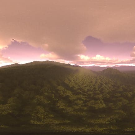 Evening Forest HDRI Sky