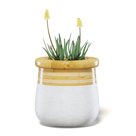 Flowers 3D Model in Large Modern Pot